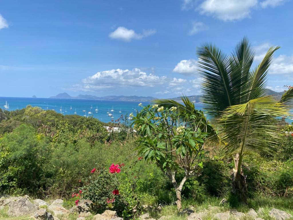 Superbe Appartement Vue Sur Mer Sainte-Anne Buitenkant foto